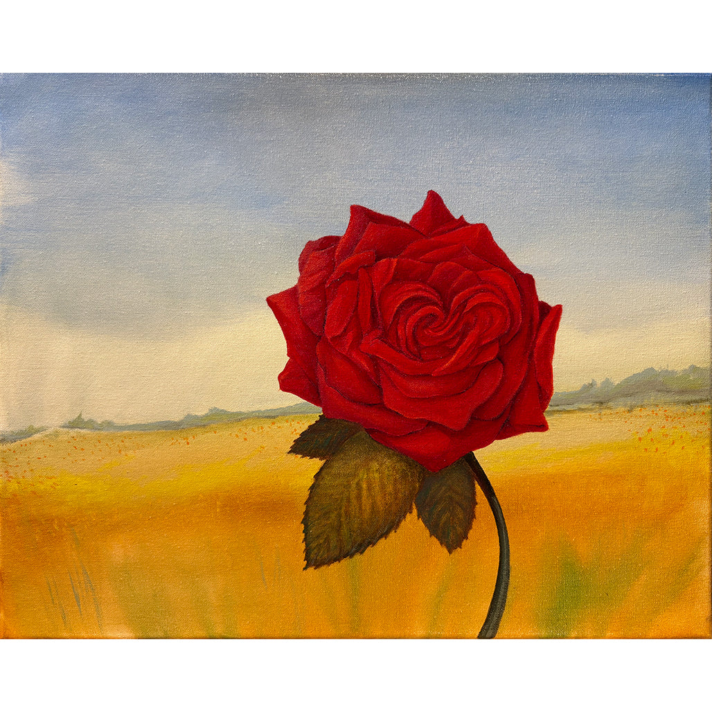 Solo Rose - original oil painting - floral - landscape - roses