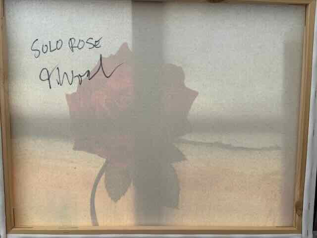Solo Rose - original oil painting - floral - landscape - roses